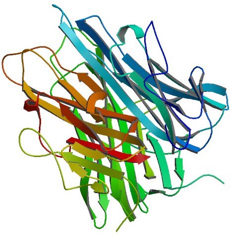 The structure of TNF