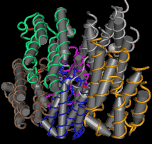 interferon-cytokines