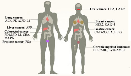 Tumor markers