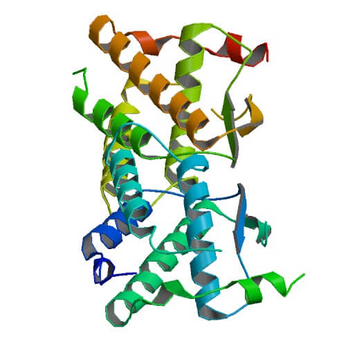 The Overview of Colony Stimulating Factors