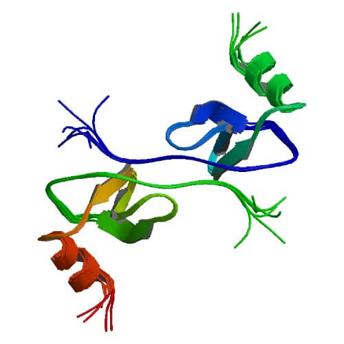 The Overview of Chemokine