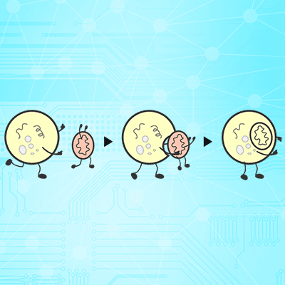 The Overview of Autophagy