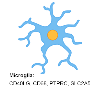 Microglia