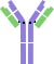 IgD monomer