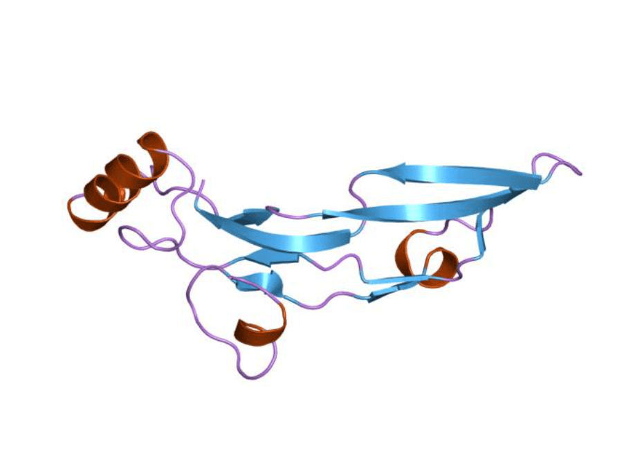 Do You Really Know TGF-β Superfamily?