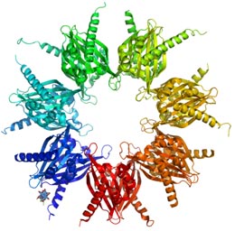 Crystal structure of calcium/calmodulin-dependent protein kinase