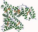 The structure of human serum albumin plays an important role in its binding and transporting function.