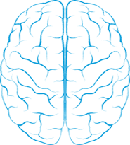 What You Should Know The Common Sense of Neurodegeneration