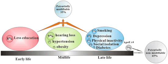 Risk factors associated with Alzheimer's disease, including modifiable factors (35%) and non-modifiable factors (65%)