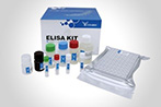 Reagent factor in ELISA