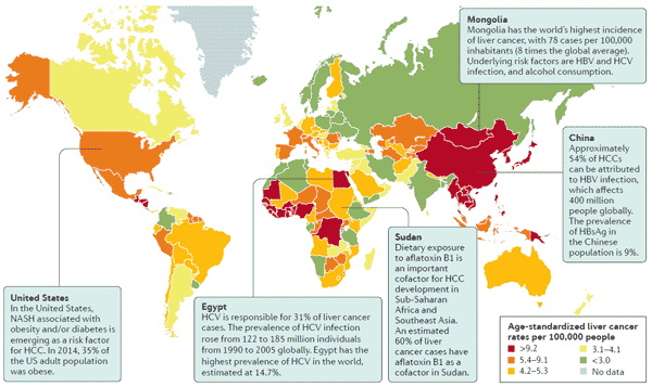 Figure 1 The global burden of HCC