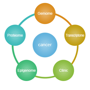 Five factors of TCGA Database