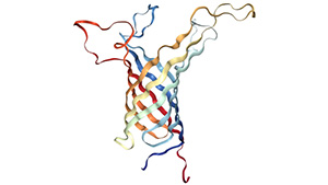 High-resolution solution structure of outer membrane protein A transmembrane domain