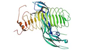 Structure of follicle-stimulating hormone and entire ectodomain of FSHR