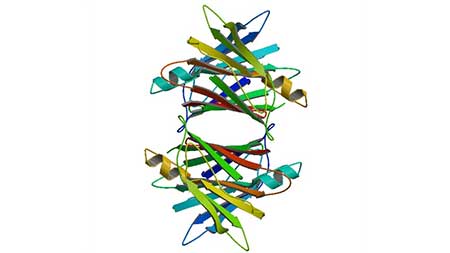 Crystal structure of human transthyretin