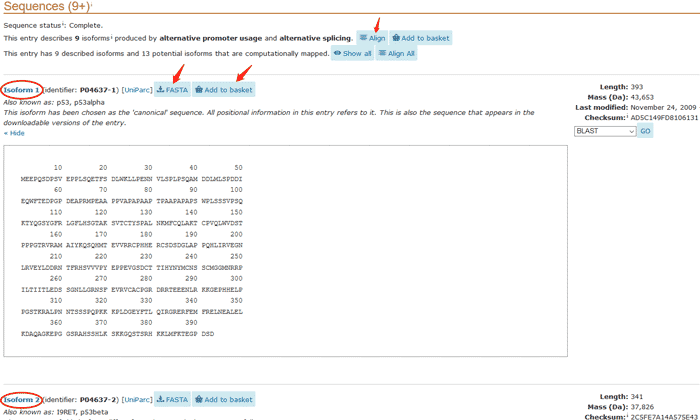 The canonical protein sequence and isoforms