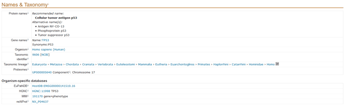 Names & Taxonomy section of a UniProtKB entry.