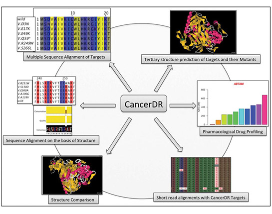 Various applications of CancerDR