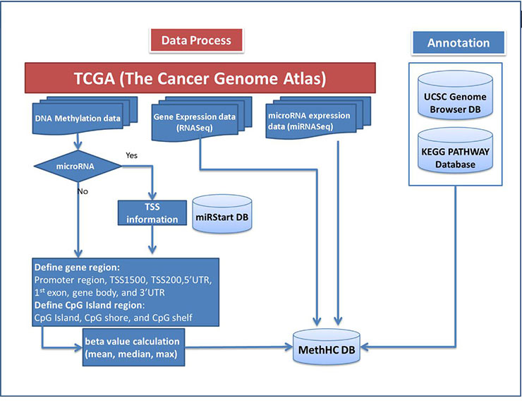 Data generation flow of MethHC