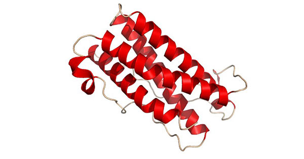 The diagram of LIF structure