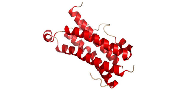 The diagram of OSM structure