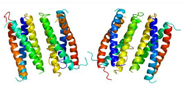 The diagram of CNTF structure