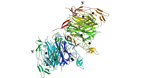 Crystal structure of the LIGHT and HVEM complex