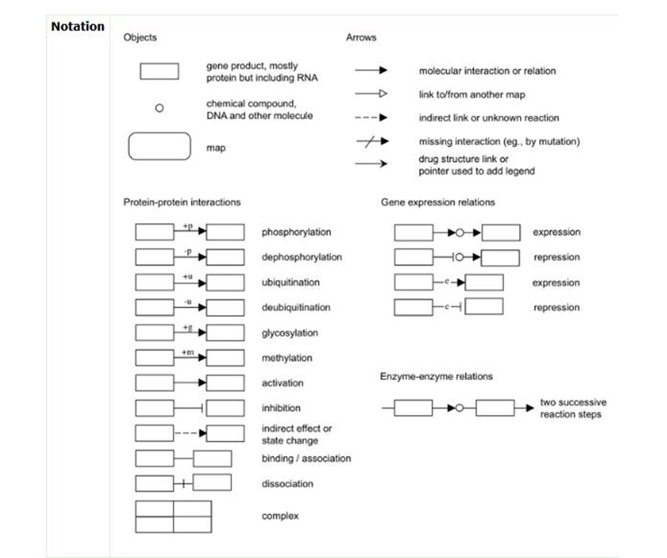 Detailed description of the various markers in KEGG pathway database