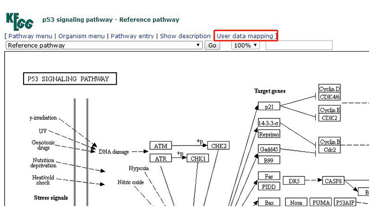 Location of user data mapping