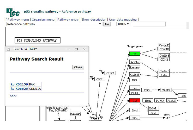 Figure 14