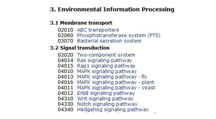 Detailed classification of signal pathways