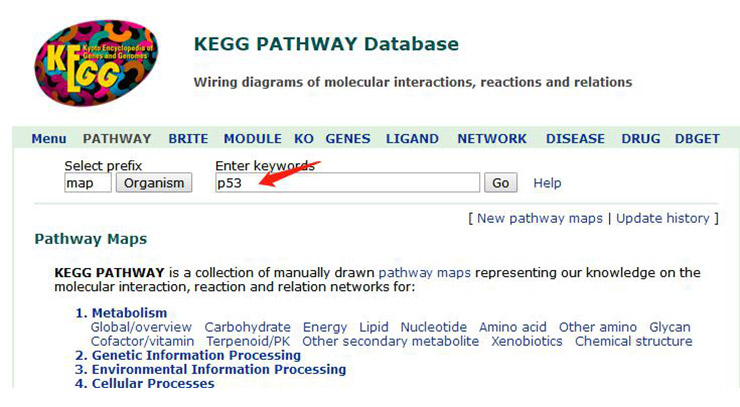Search page for KEGG pathway database