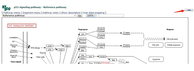 How to find the meaning of the markers in the KEGG signaling pathway