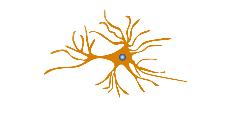 Glial Fibrillary Acidic Protein - Astrocyte Specific Marker