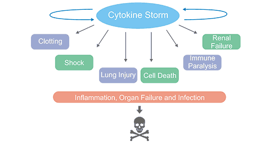 What You Have to Know about Cytokine Storm and Virus Infection