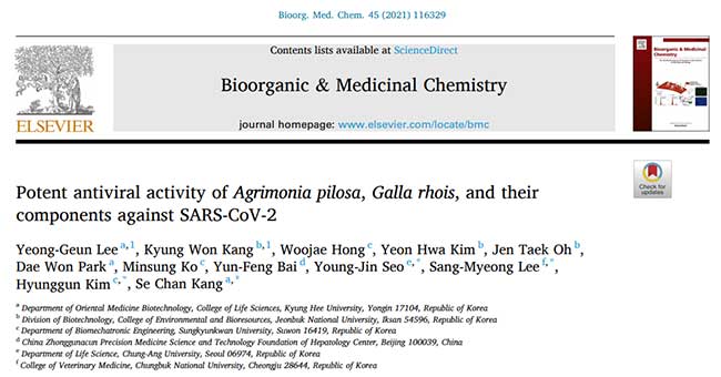 Agrimonia pilosa, Galla rhois, and APRG64, Which has the best antiviral activity against SARS-CoV-2?