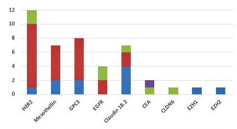 2021 Insights on the CAR-T Cell Therapy: the Most Popular Targets for Solid Tumor!