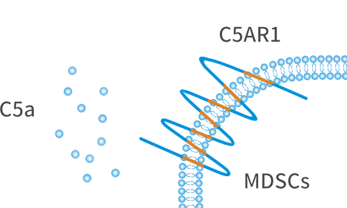 Recombinant Human C5AR1-VLPs