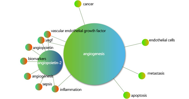 Ang-2 Knowledge Network Graph