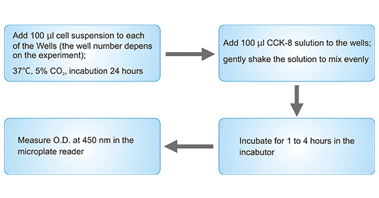 Cell proliferation assay