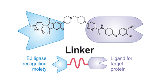 The Structure of PROTACs