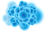 Recombinant Monkeypox Virus Proteins - Accelerate Monkeypox Research
