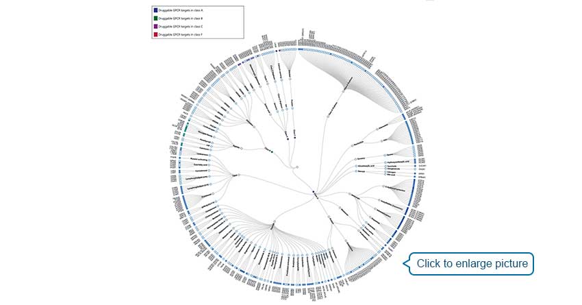 Phylogenetic tree of GPCRs as drug targets. Node represents GPCR named according to its gene name. Receptors with approved drugs on the market are highlighted by color. GPCRs are organized according to GPCR database