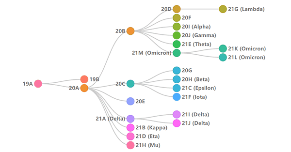 Illustration of phylogenetic relationships of SARS-CoV-2 clades