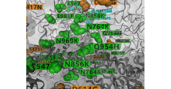 Partial 3D Structure of Spike with Amino Acid Changes