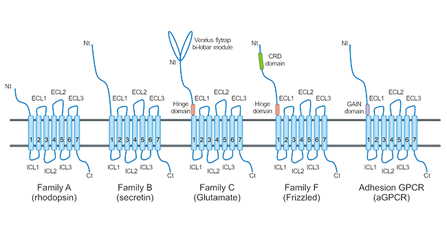 GPCR Drugs Discovery