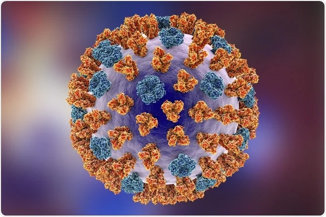 Exploring the Science of Influenza A Virus: What You Need to Know