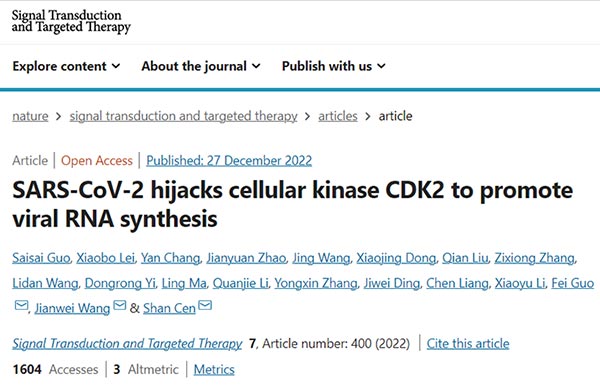 SARS-CoV-2 hijacks cellular kinase CDK2 to promote viral RNA synthesis