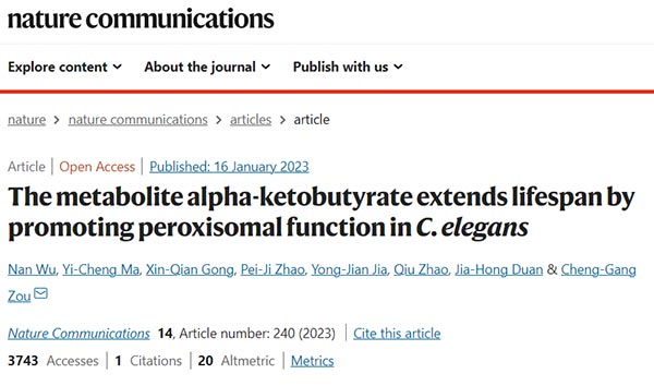 The metabolite alpha-ketobutyrate extends lifespan by promoting peroxisomal function in C. elegans