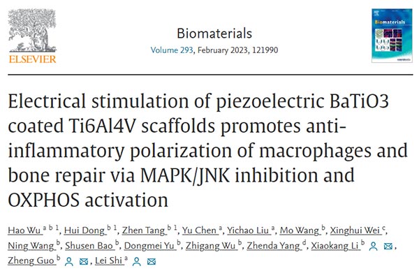 Electrical stimulation of piezoelectric BaTiO3 coated Ti6Al4V scaffolds promotes anti-inflammatory polarization of macrophages and bone repair via MAPK/JNK inhibition and OXPHOS activation